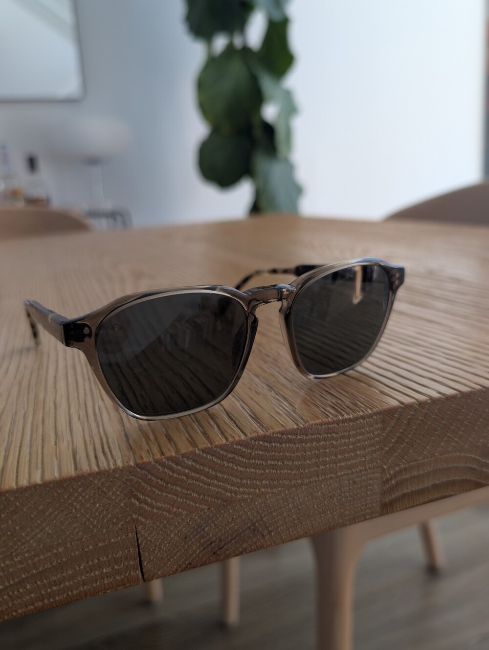 Exclusive Raen x Huckberry limited collab Aren Sunglasses